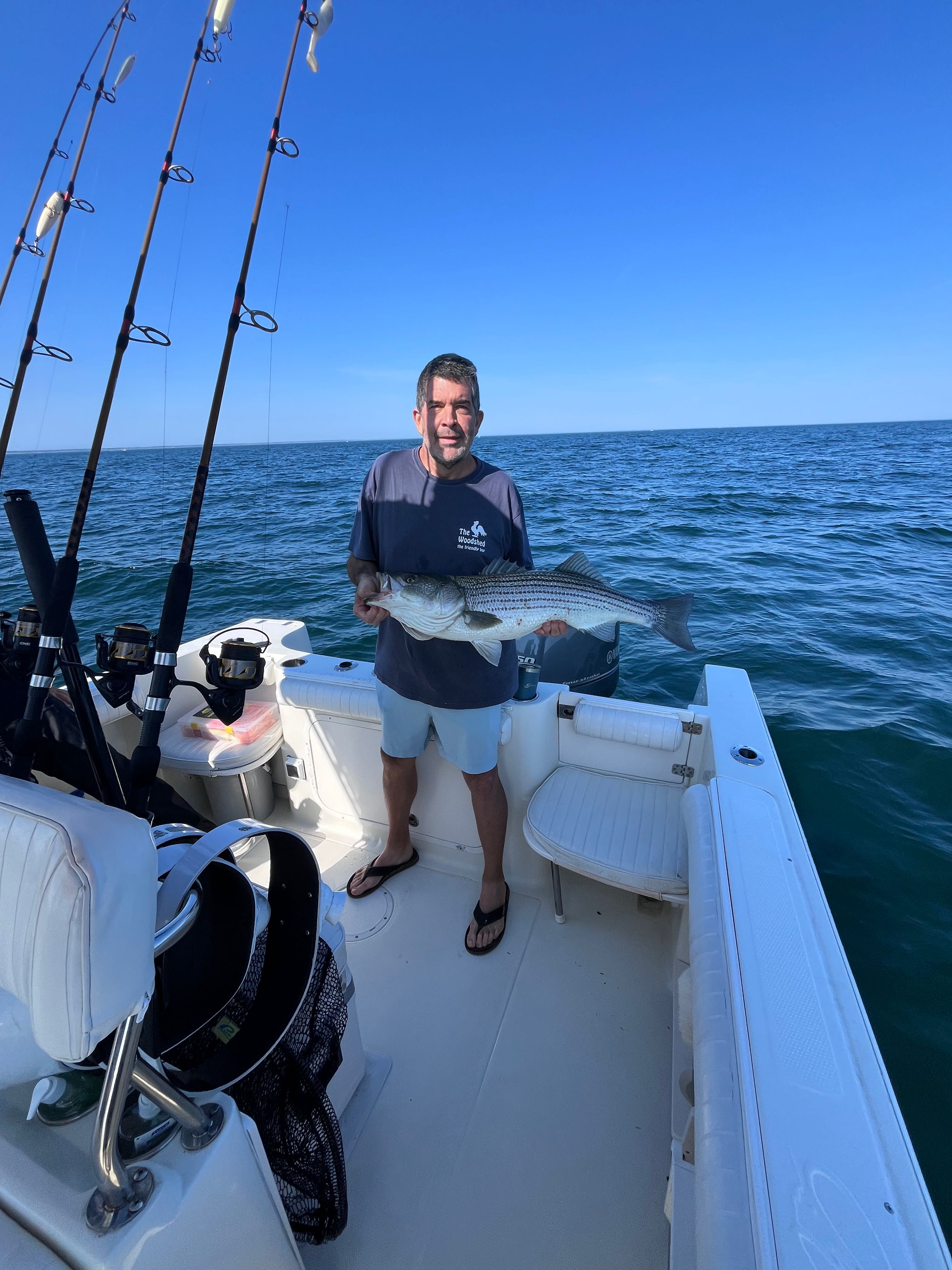 Striped bass caught during fishing charter in East Dennis MA