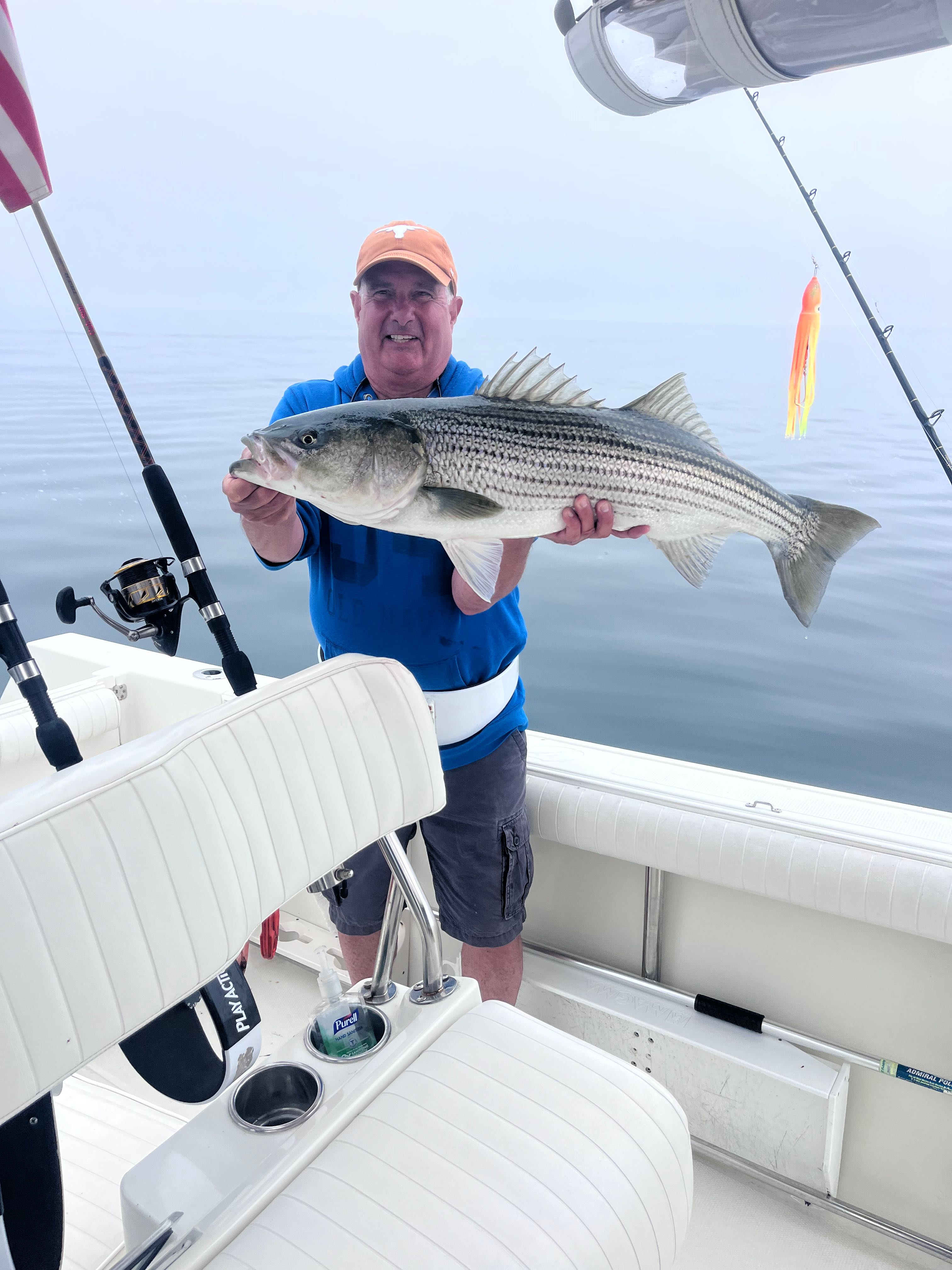 Striped bass catch on fishing boat in East Dennis MA waters