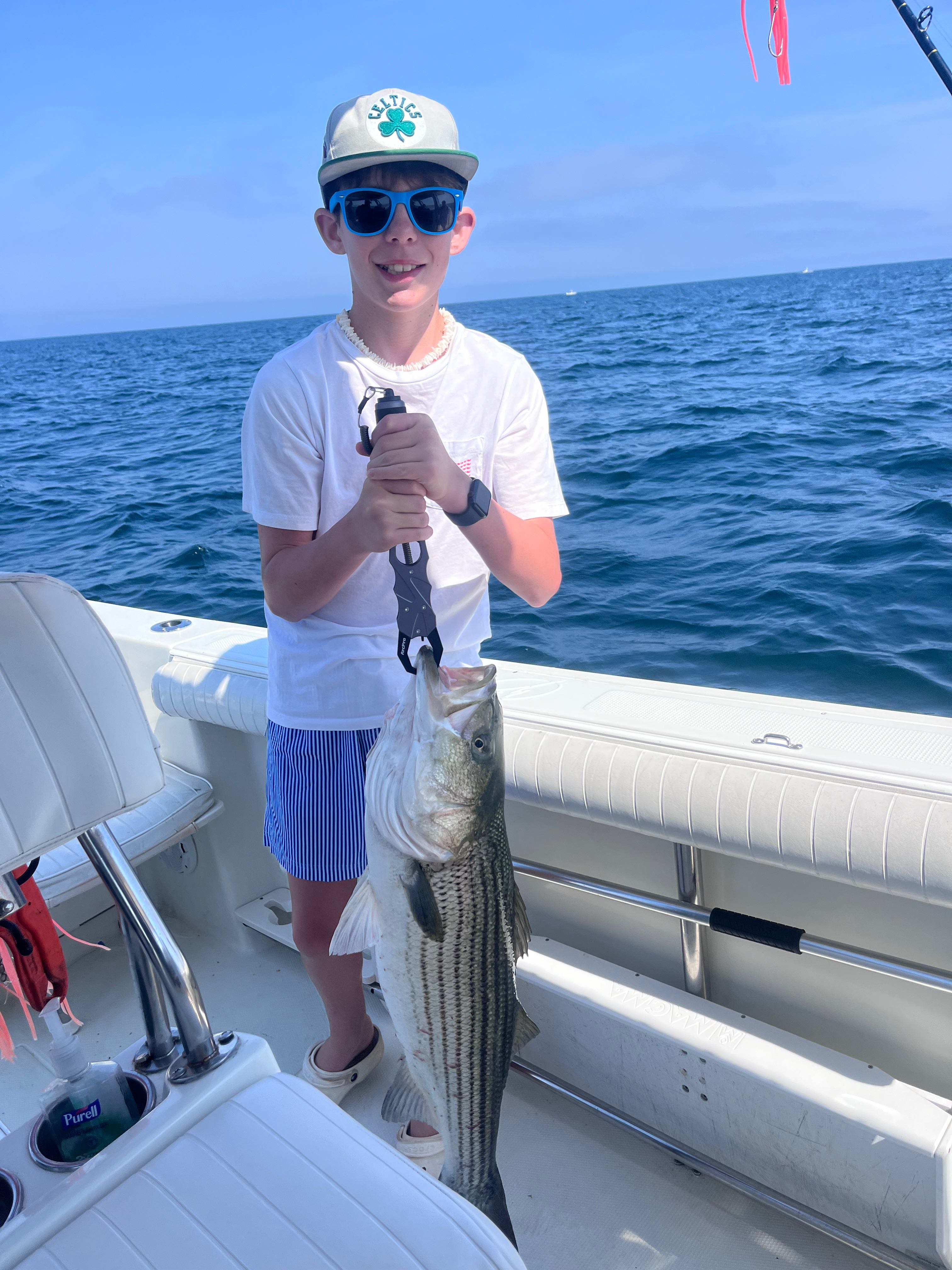 Striped bass catch displayed on fishing boat in East Dennis MA waters