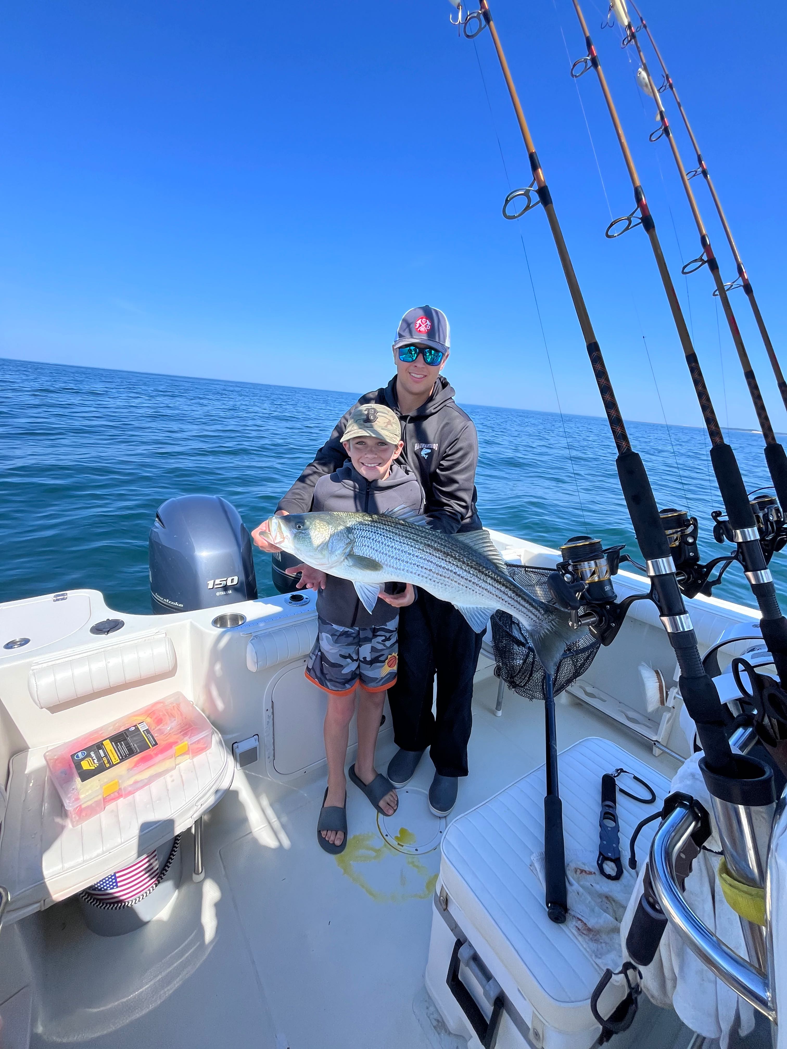 Striped bass catch on fishing boat in East Dennis MA waters