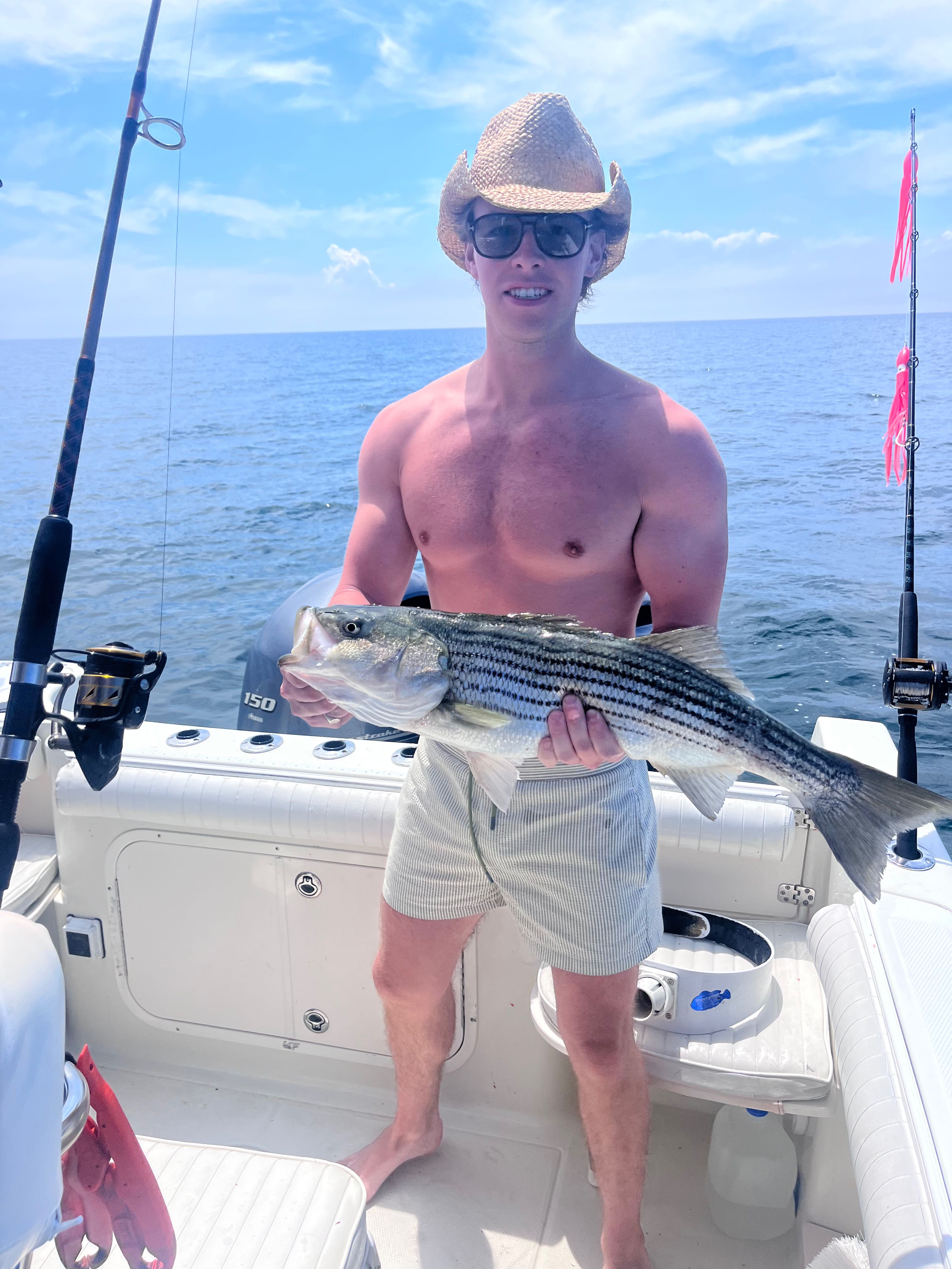 Striped bass catch on fishing boat in East Dennis MA waters