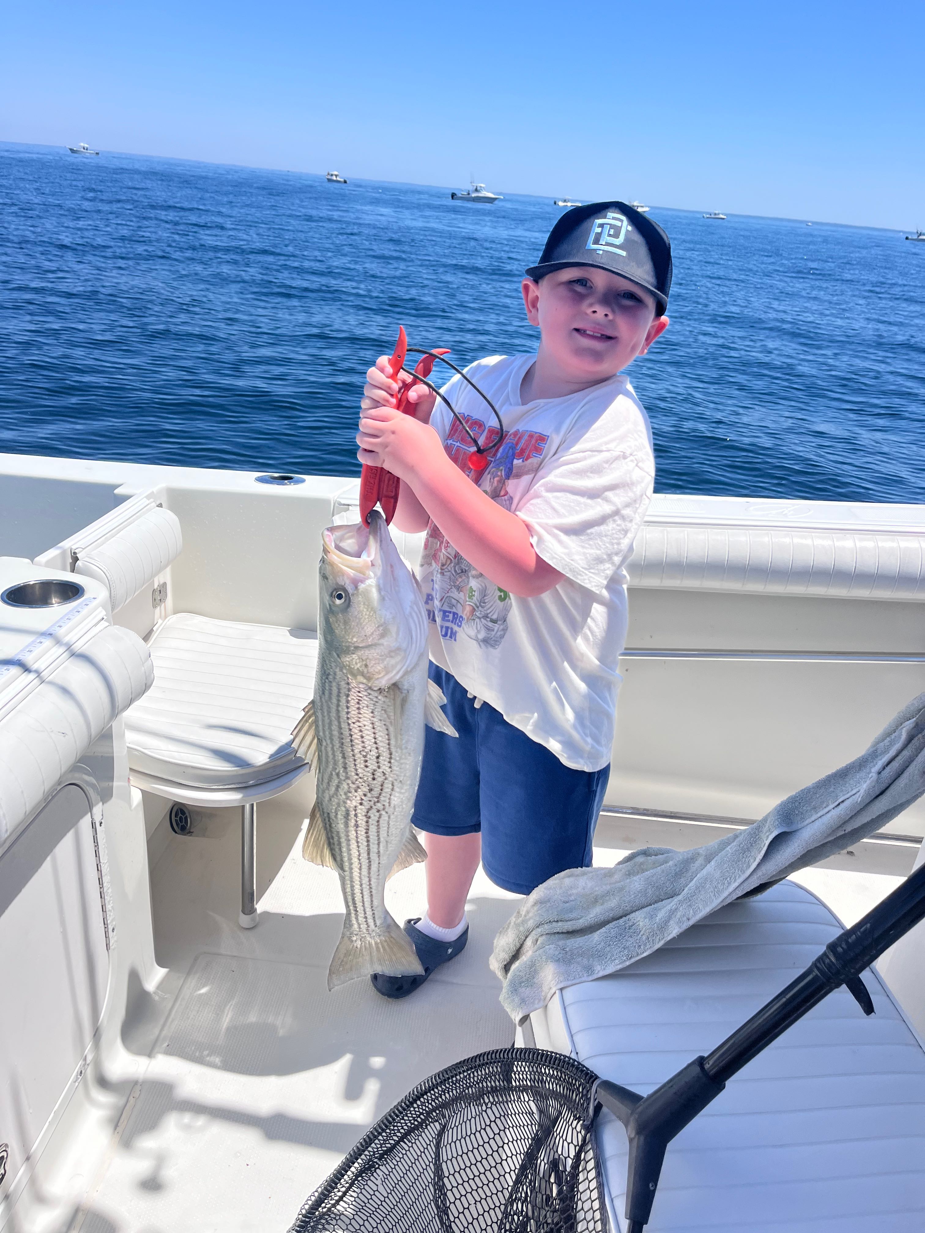 Striped bass catch on fishing boat in East Dennis MA waters