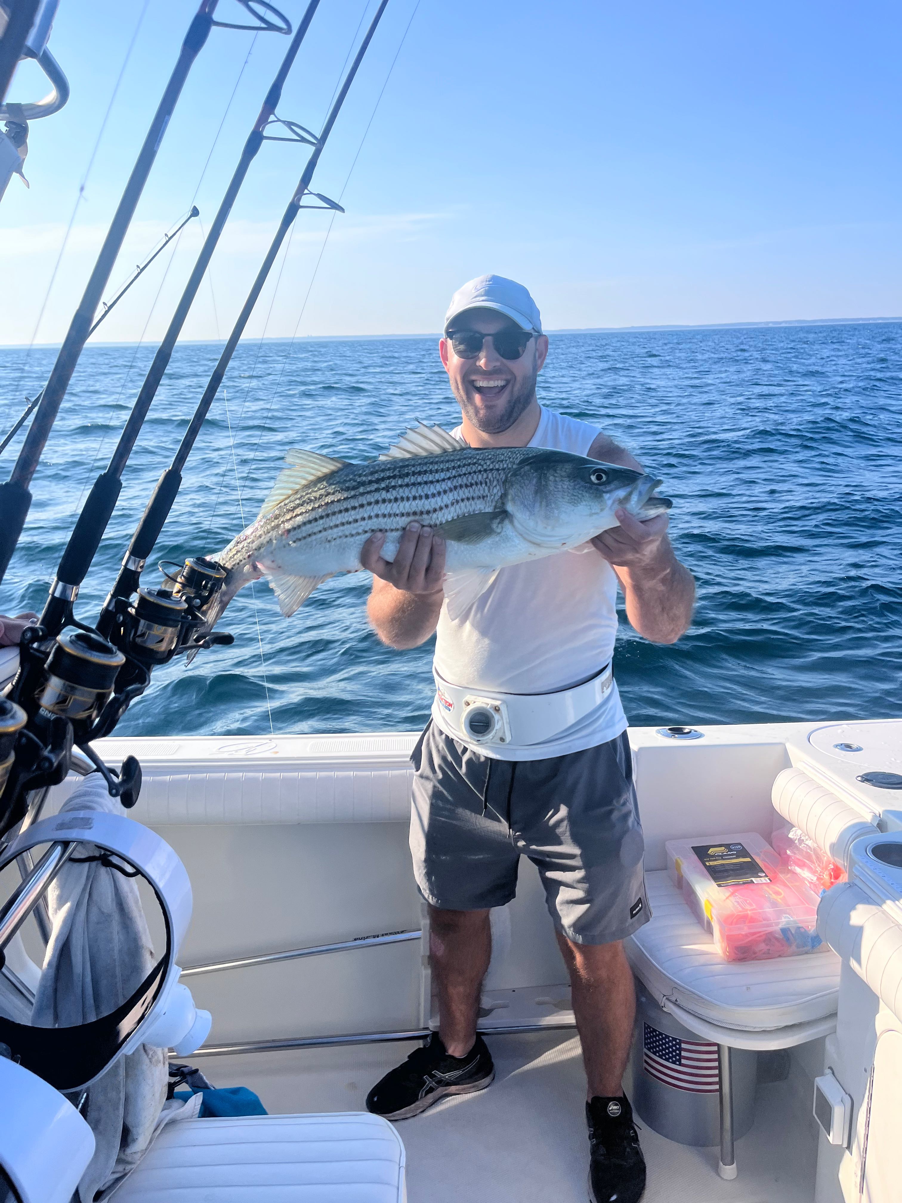 Striped bass catch displayed on fishing boat in East Dennis MA waters