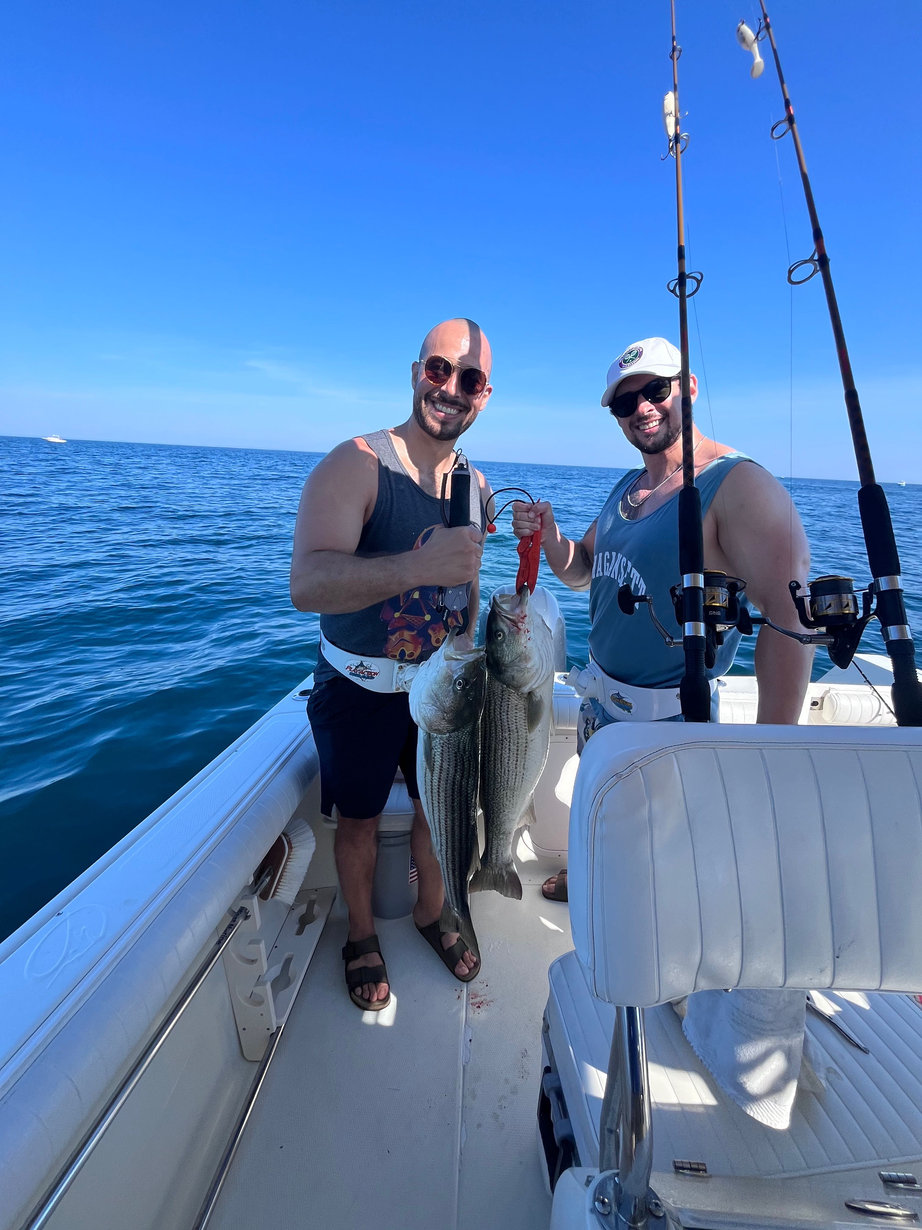 Striped bass caught during fishing charter in East Dennis MA