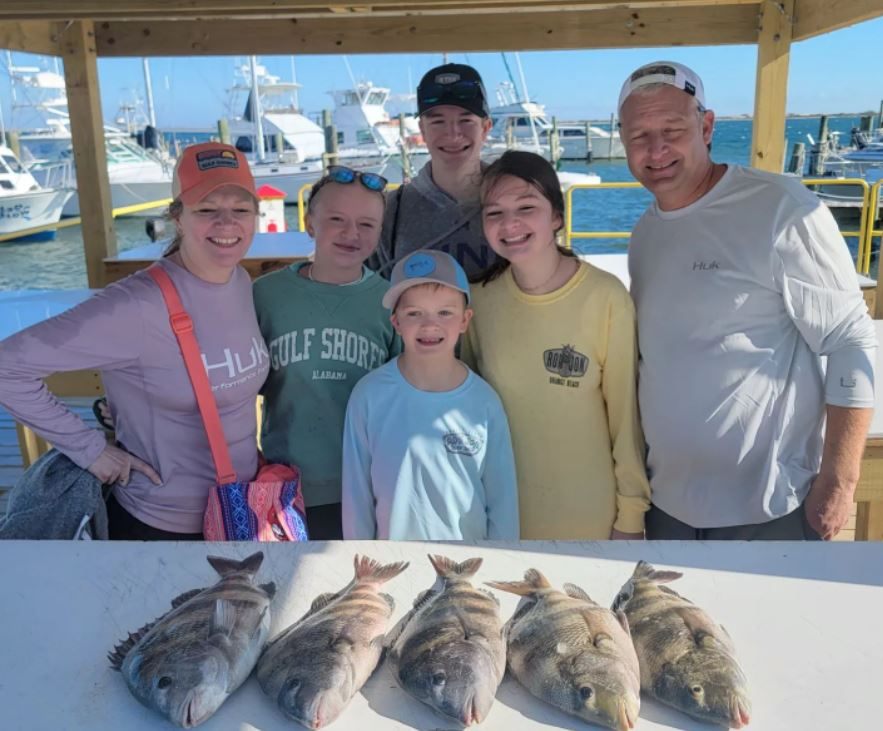 5 black drum fish caught in Gulf Shores
