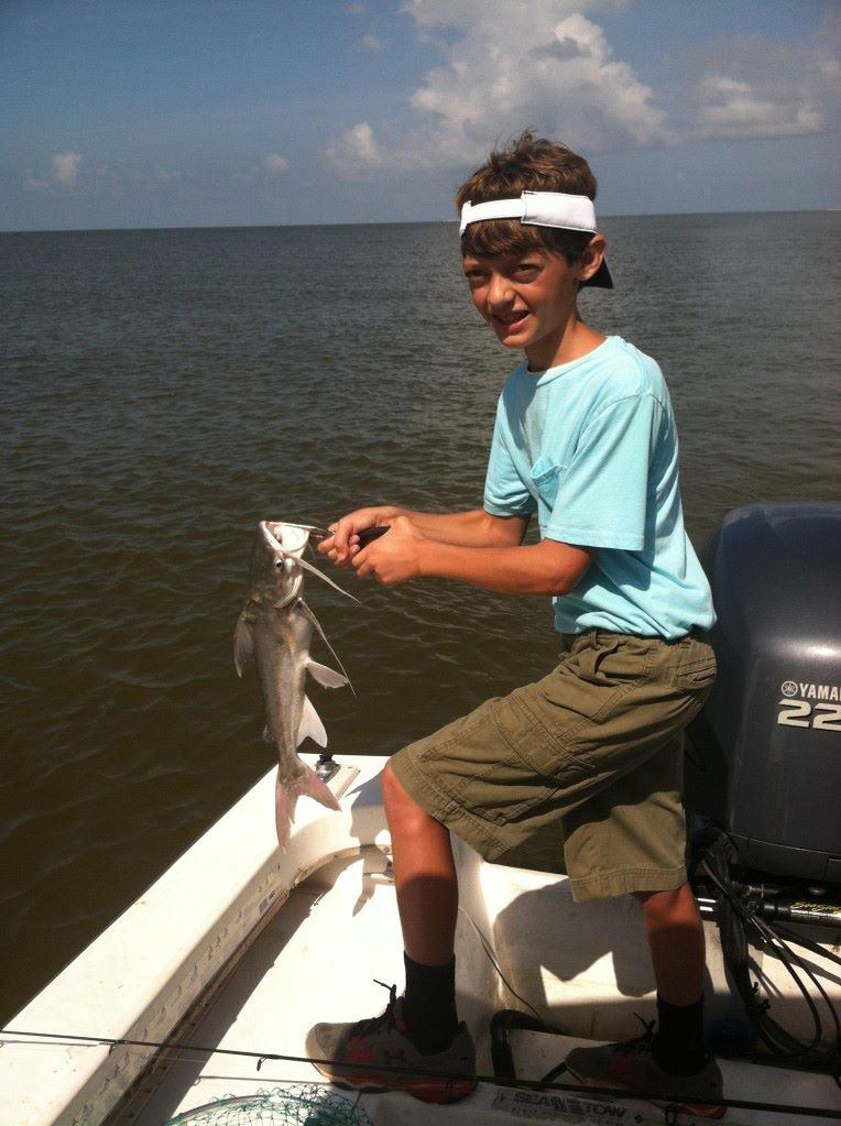 A Gafftopsail sea catfish caught fishing in FL