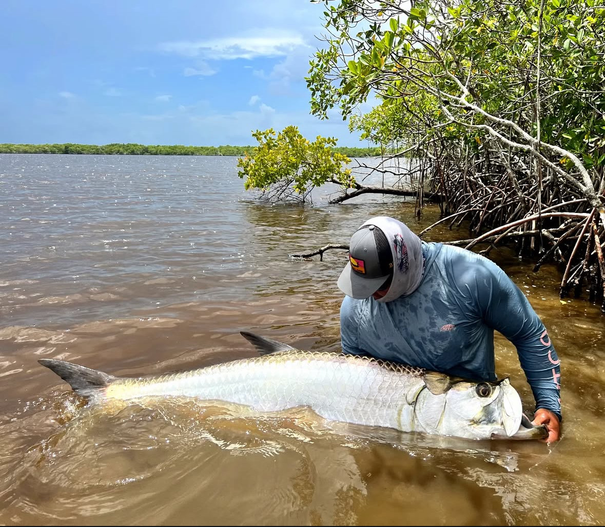Tarpon fish caught in Boca Raton while fishing