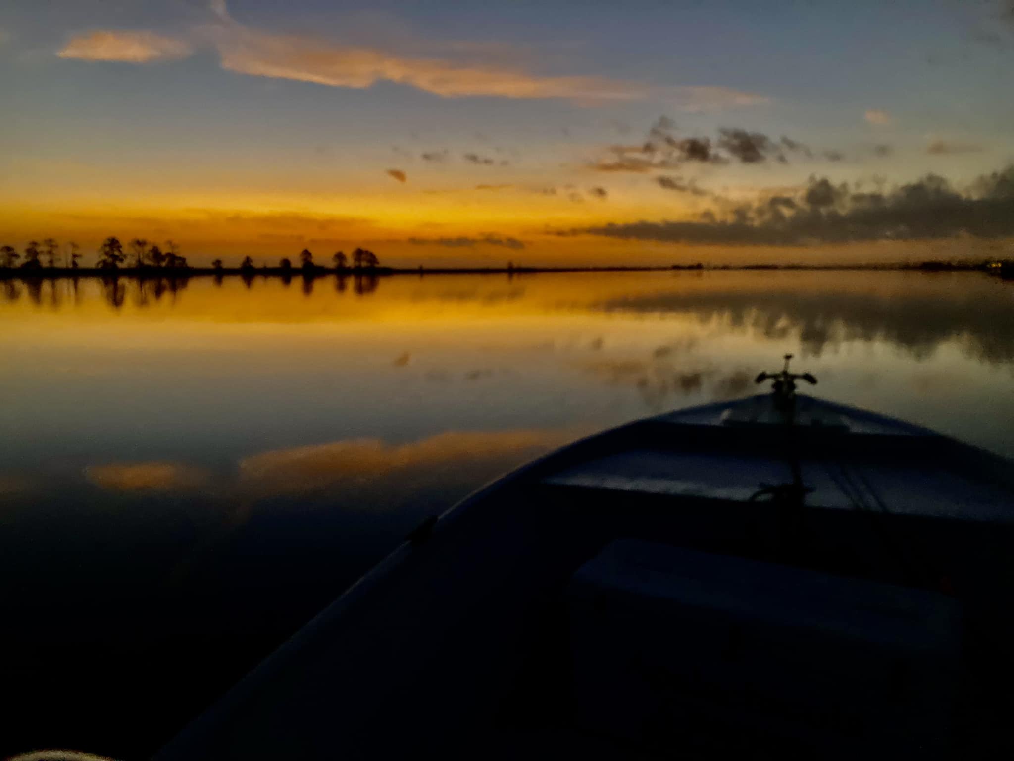 Scenic view of the Apalachicola river