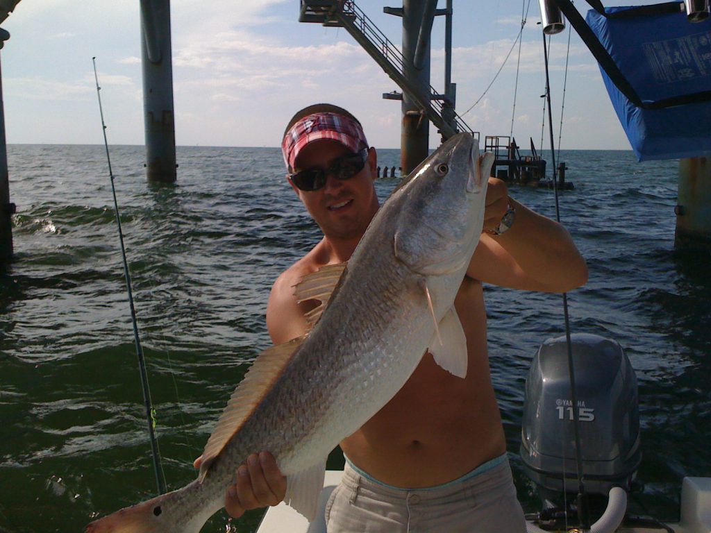 One Redfish caught while fishing in Alabama