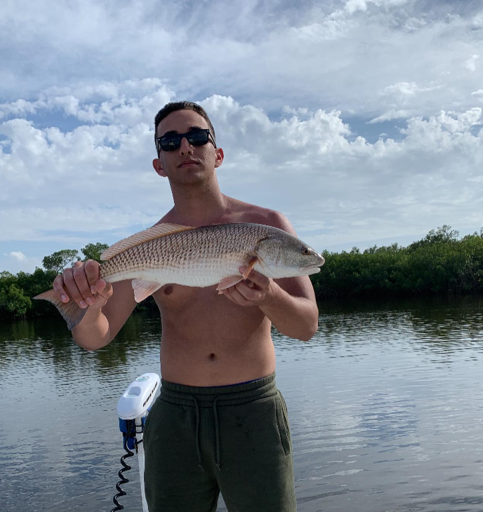 A redfish caught in Punta Gorda, Florida