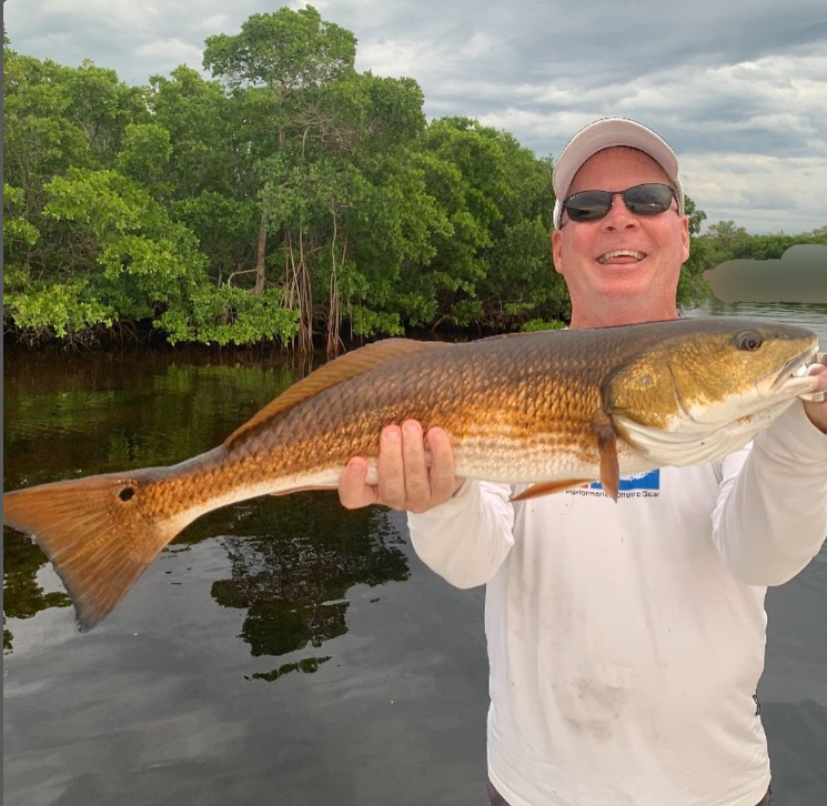 Redfish caught in Punta Gorda while fishing