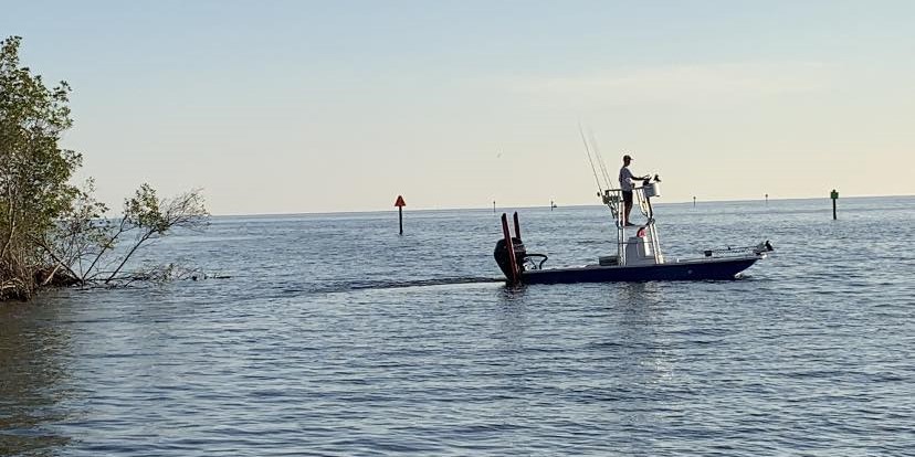 Fish Whistle Charters 