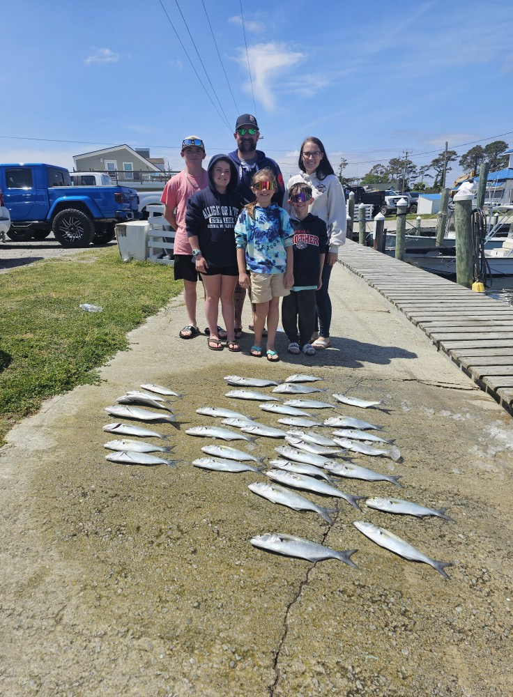 Two bluefish, 24 inches long, caught while fishing in North Carolina