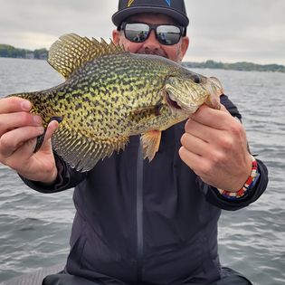 Crappie fish caught at Spring Park