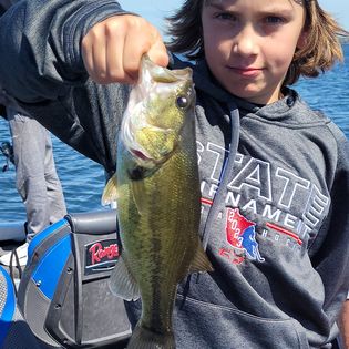 Largemouth Bass caught while fishing in MN