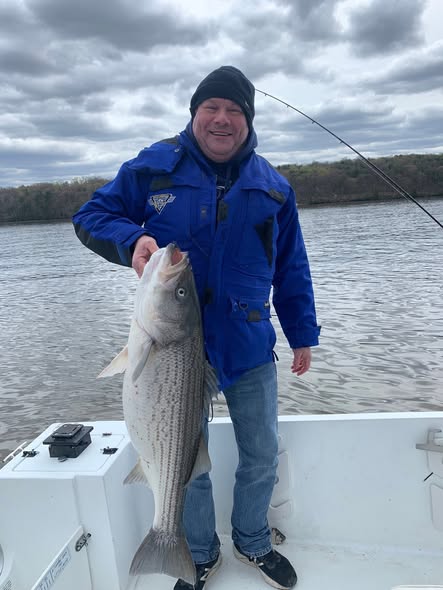 Angler holding large striped bass on fishing boat in Accord NY