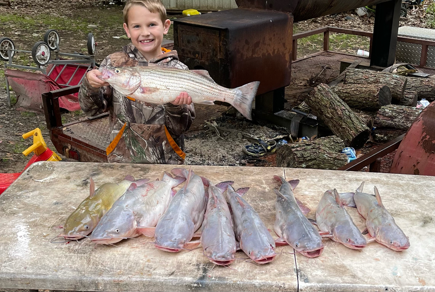 7 striped bass and blue catfish caught by angler in OK