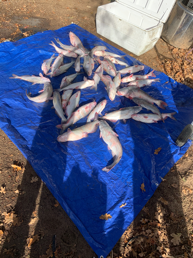 A fishing trip in Kingston with one fish caught