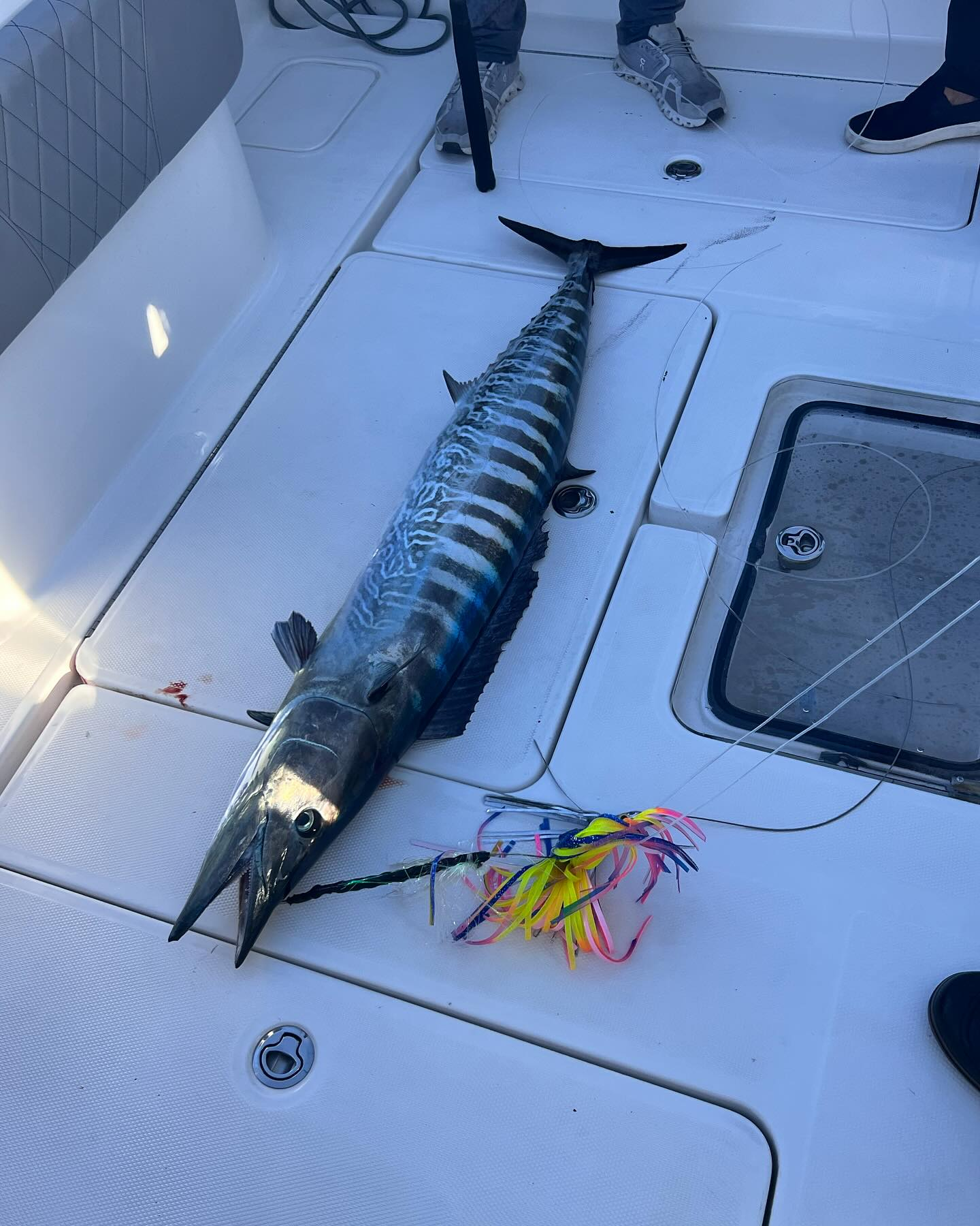 A fishing trip in FL