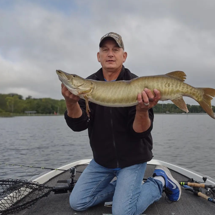 Muskellunge caught in Minnesota
