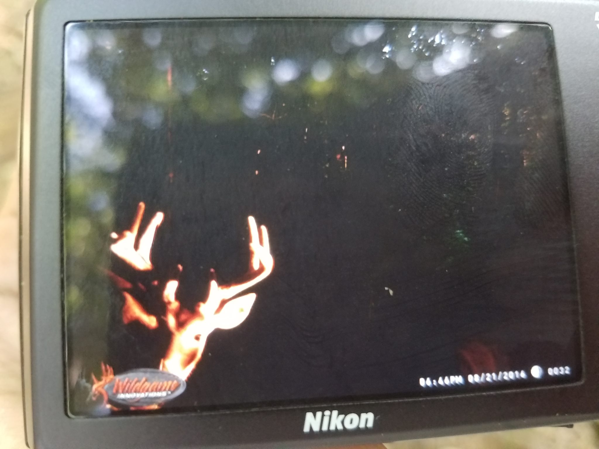 Great hunting trip in VA