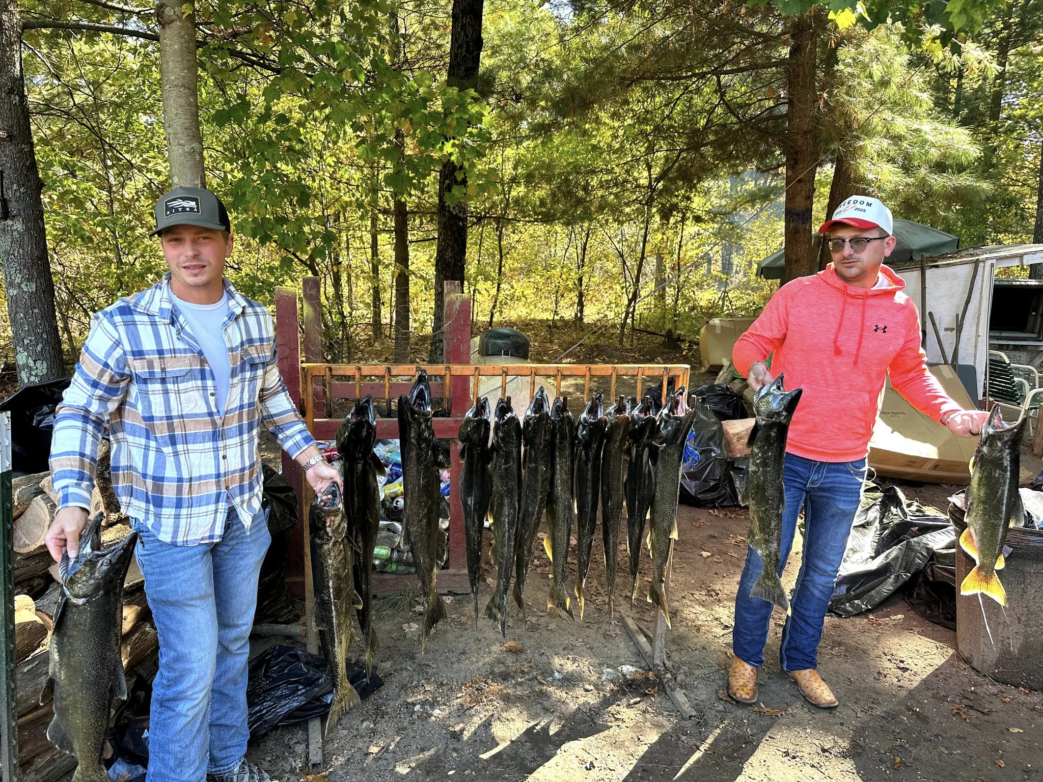 Successful Chinook salmon fishing display in Cadillac MI with multiple fish hanging on wooden rack