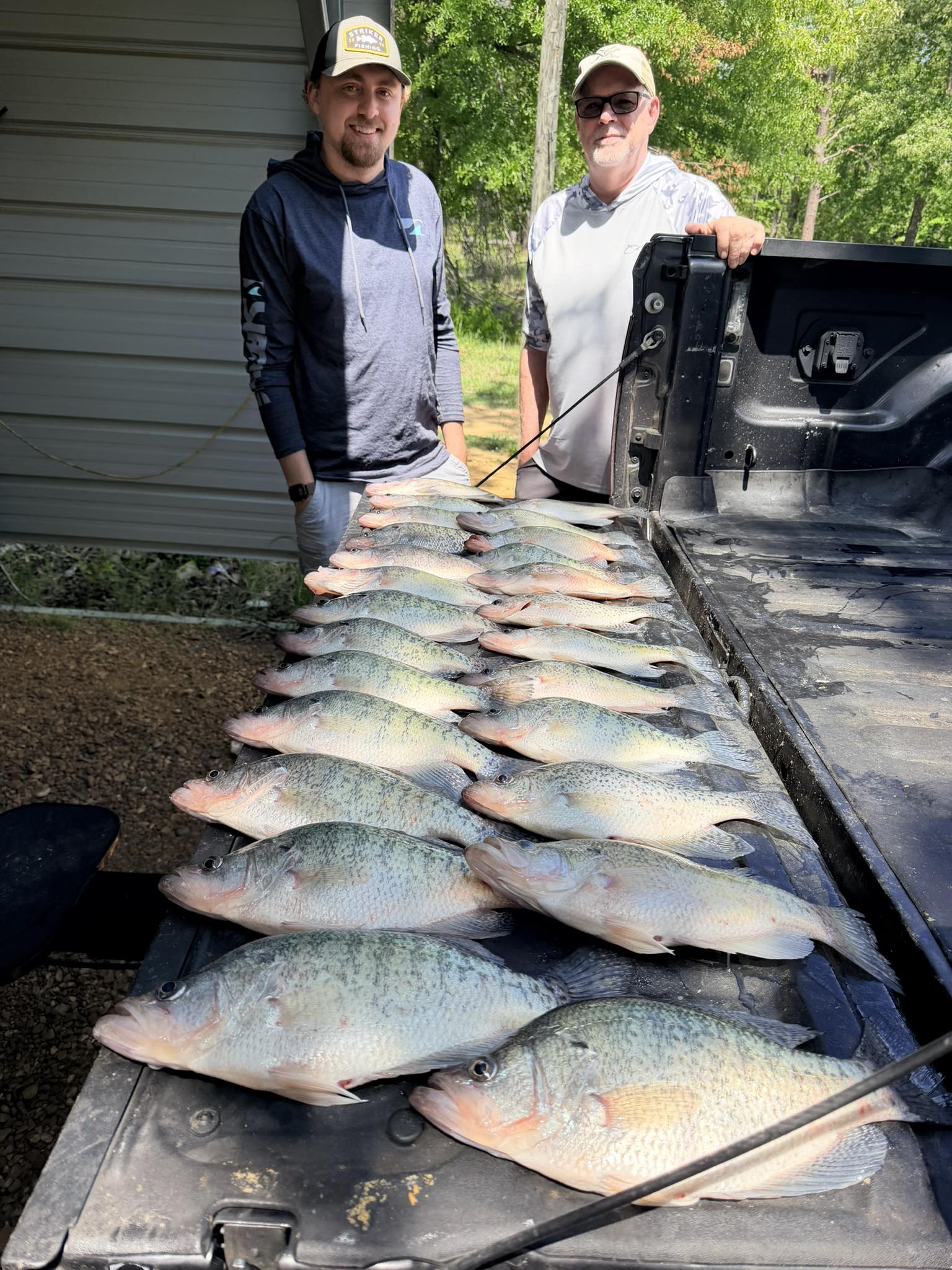 Large catch of crappie fish displayed on truck tailgate in Oakland MS after successful fishing trip