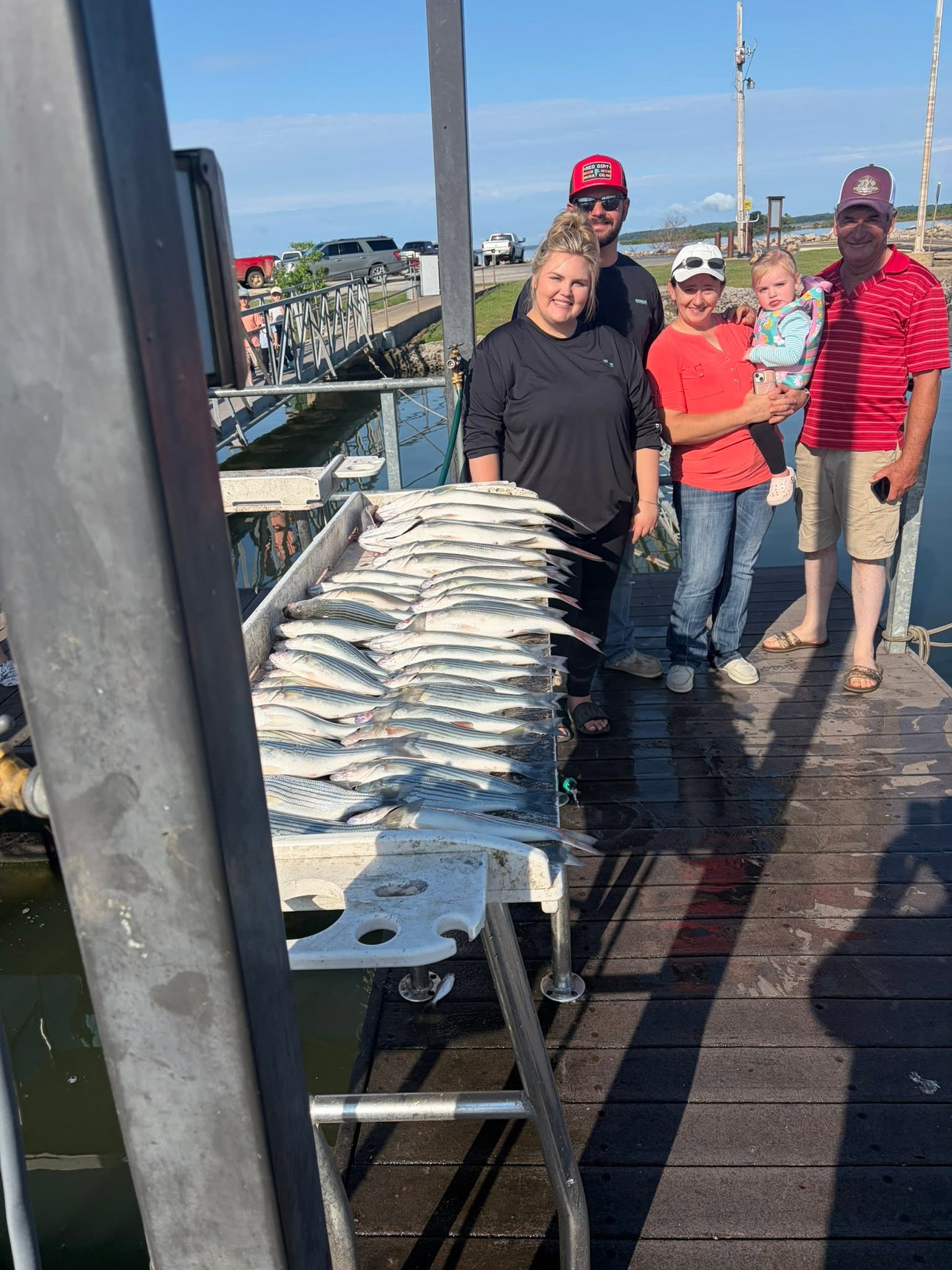 Large catch of striped bass displayed on fishing boat dock in Kingston OK
