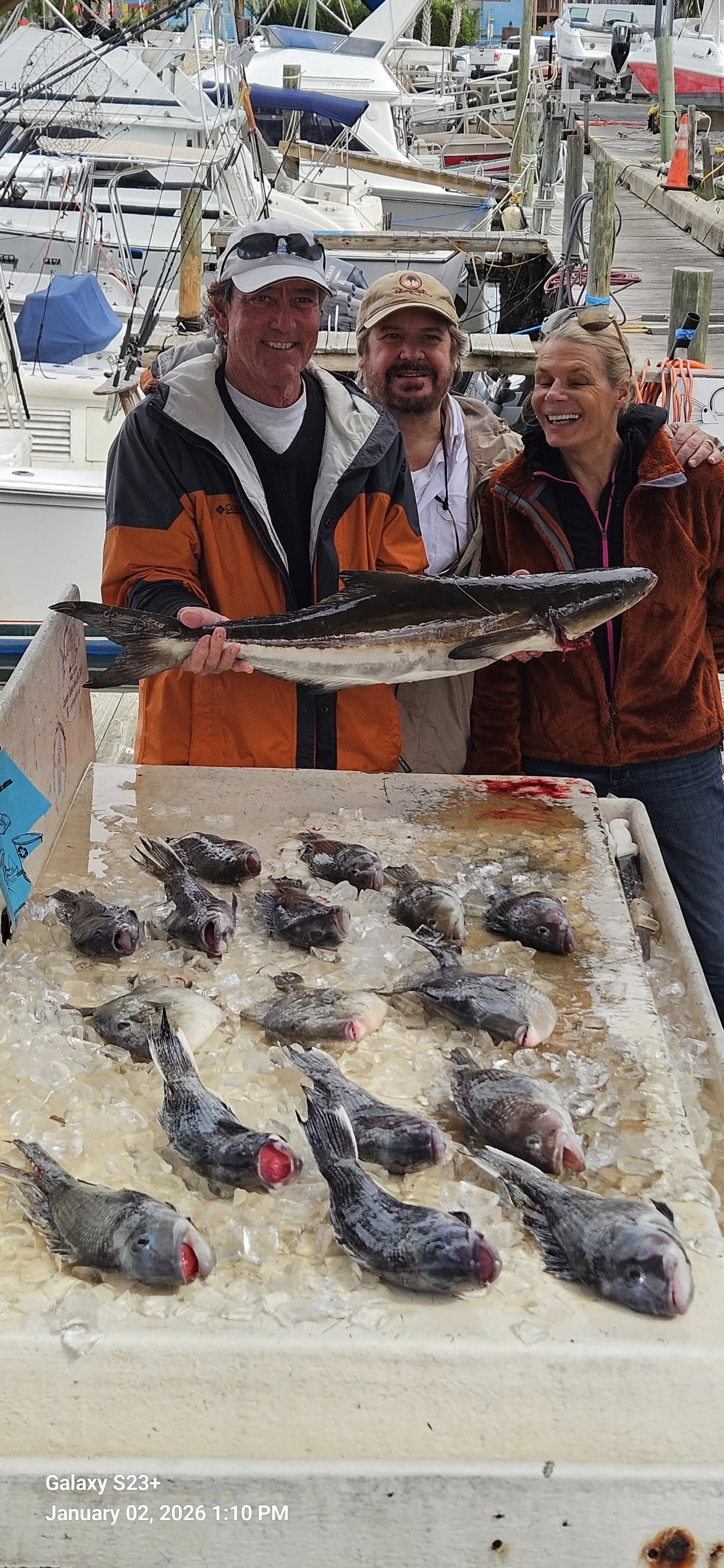 Cobia caught by 3 people in New Smyrna Beach, Florida