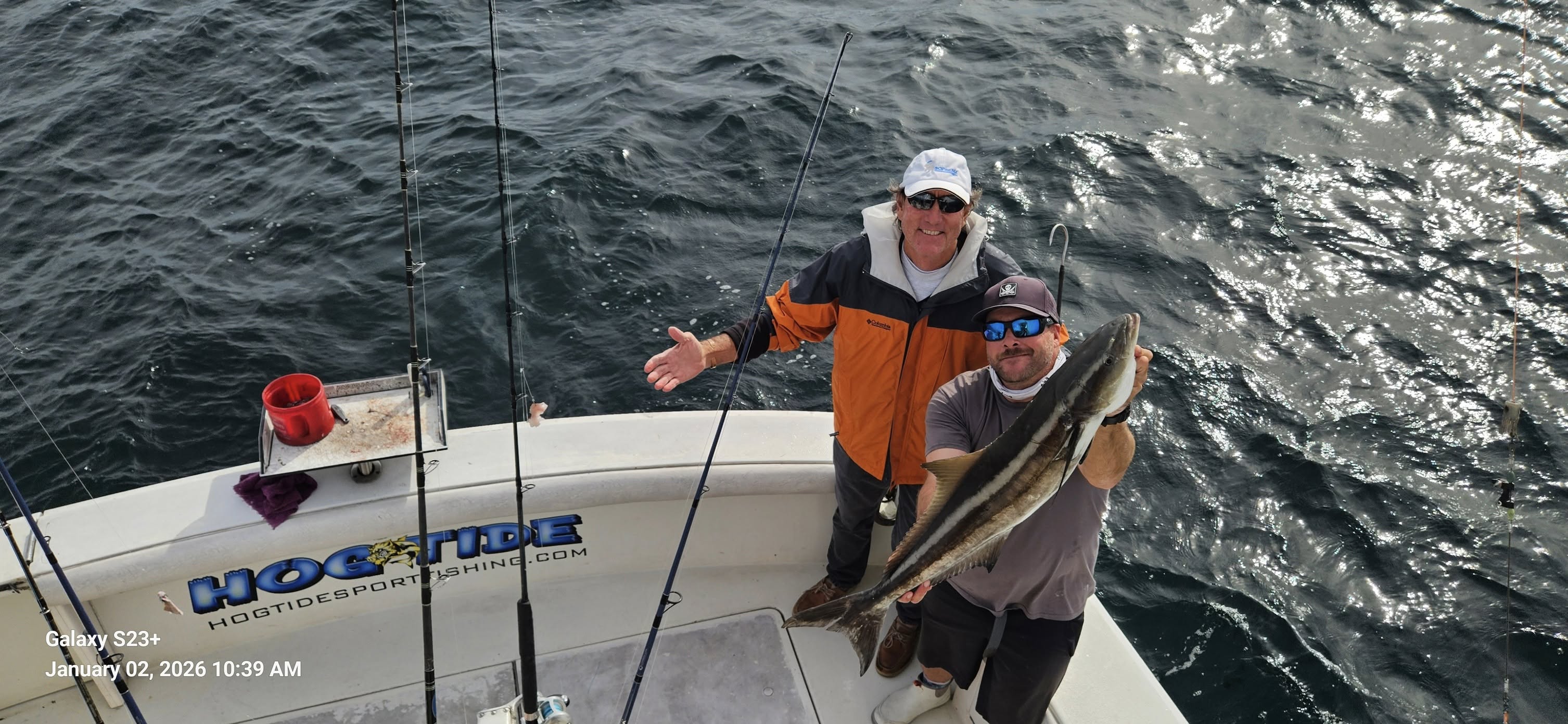 Cobia fish caught by two people in Florida
