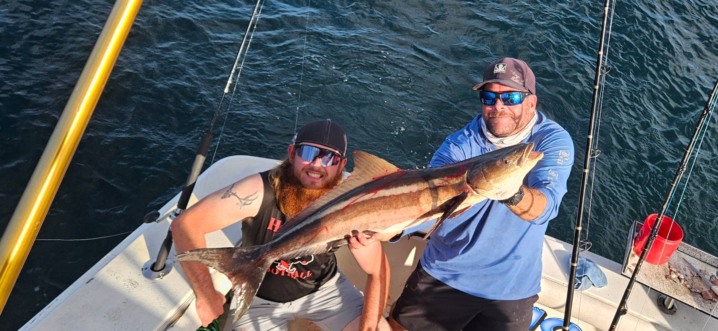 Cobia fish caught while fishing in FL