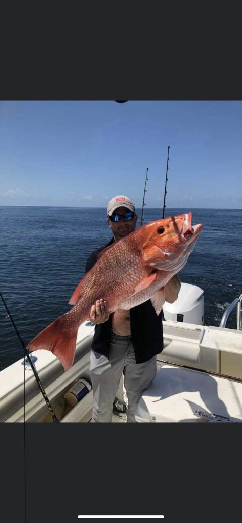 1 European seabass fish caught in FL