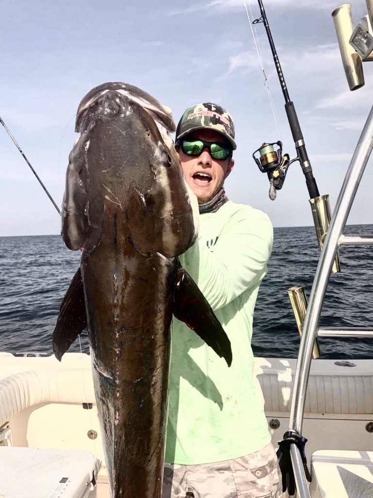 A cobia, a large saltwater fish, caught in Pensacola
