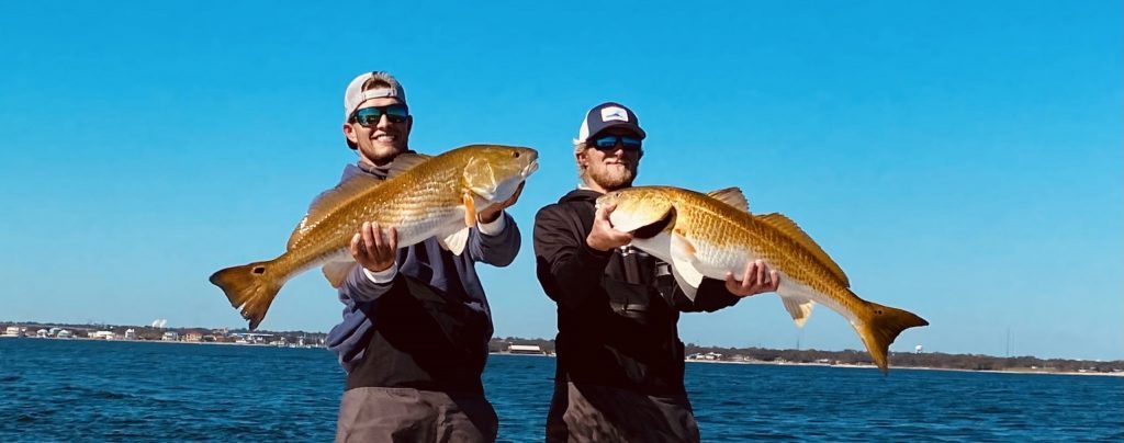 Two redfish, 26 inches, caught in FL