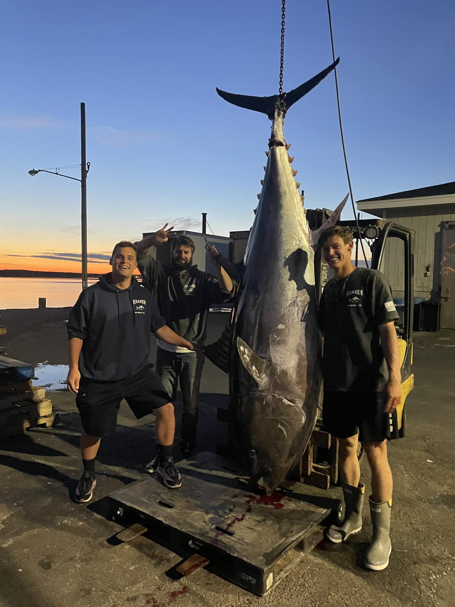 Yellowfin tuna, a large fish caught in Seabrook