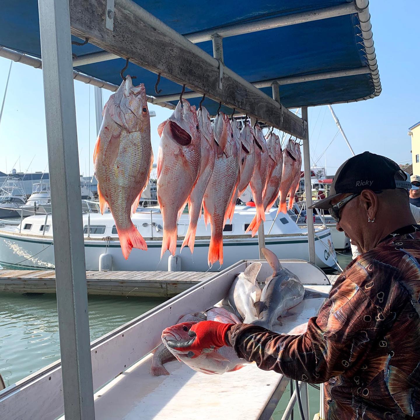 3 big fish caught on fishing trip at South Padre Island