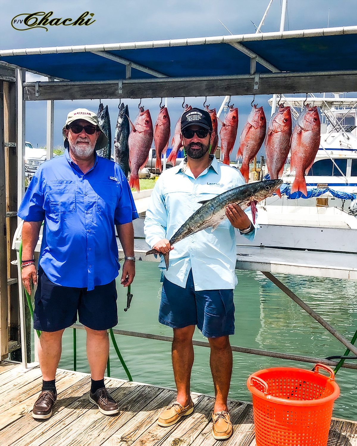 5 king mackerel caught, south padre island fishing