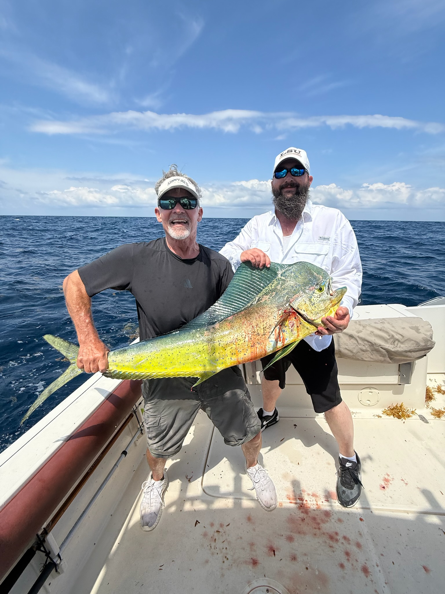 Fresh caught mahi mahi displayed on fishing boat deck in Seabrook Island SC waters