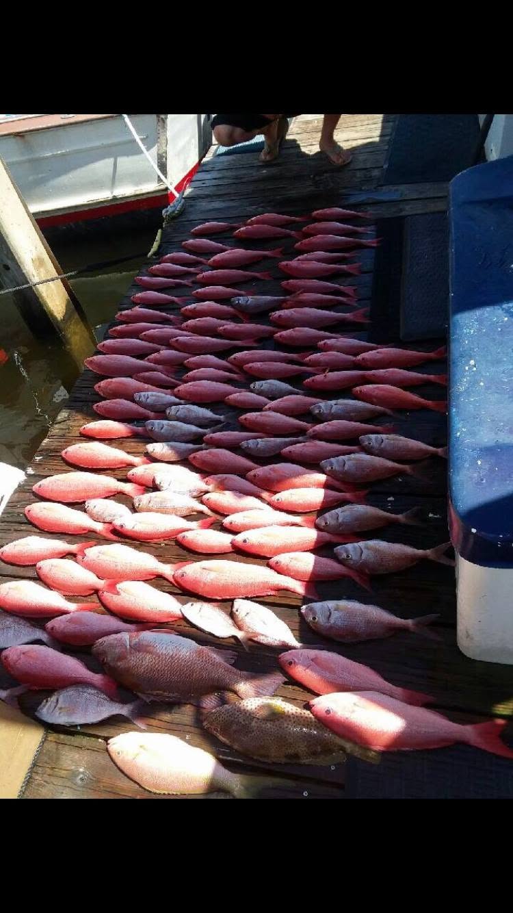 Fresh caught fish displayed on fishing boat dock in Panama City Beach FL