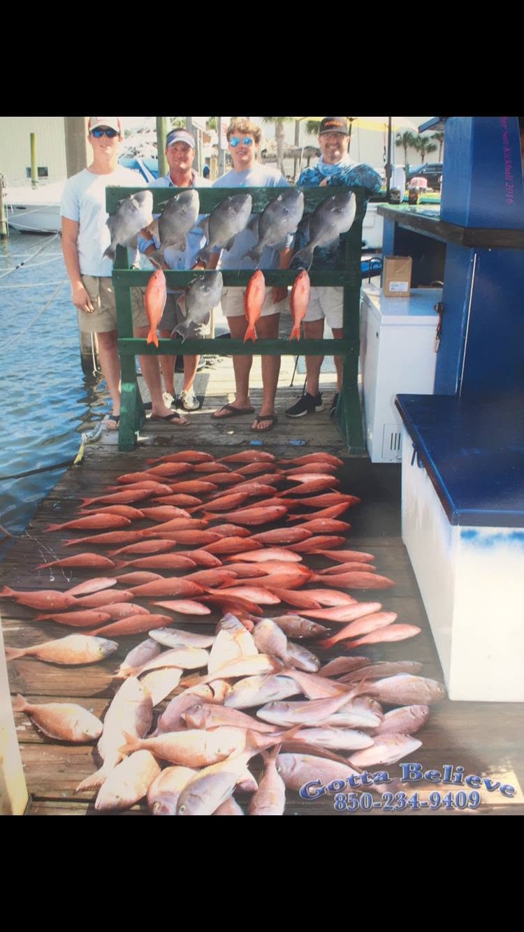 Large fishing catch displayed on dock at Panama City Beach FL with red snapper and other fish species