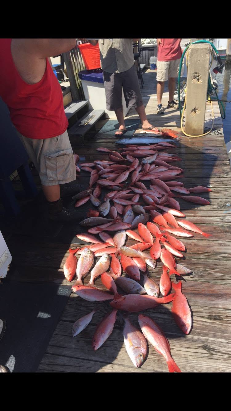 Large catch of red snapper and other fish displayed on wooden dock at Panama City Beach FL