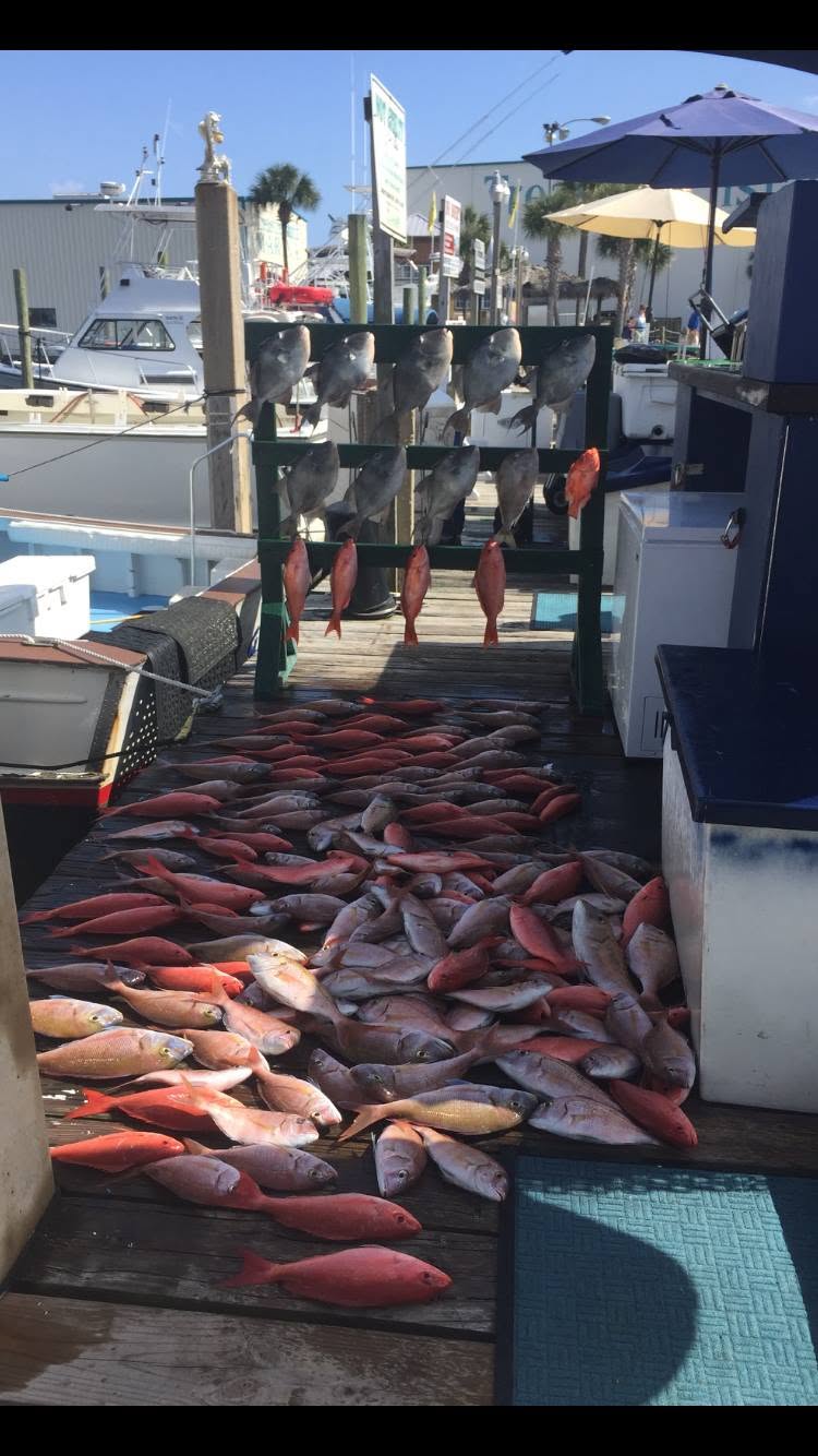 Large catch of red snapper and other fish displayed on fishing boat deck at Panama City Beach FL