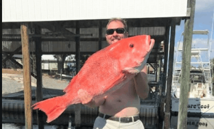 Angler and their catch at Orange Beach
