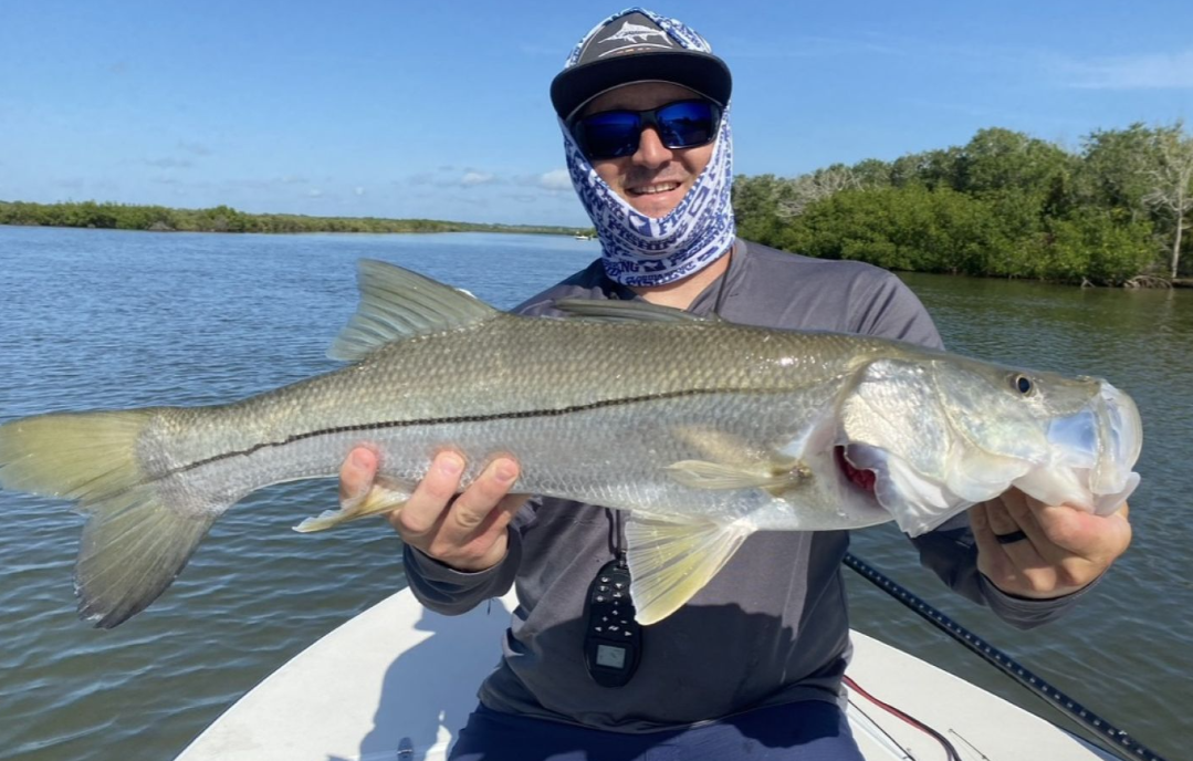 Snook caught in Edgewater during fishing