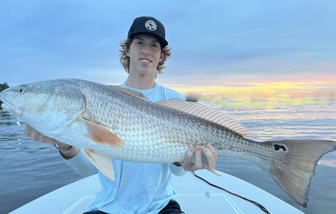 Redfish caught by angler in Edgewater