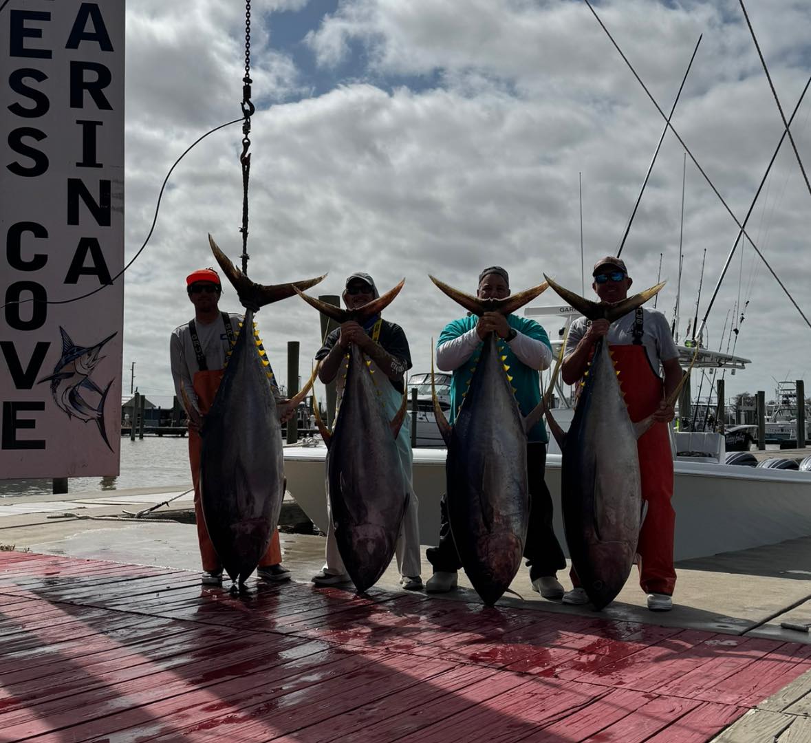 4 big blackfin tuna fish caught by 4 people in LA