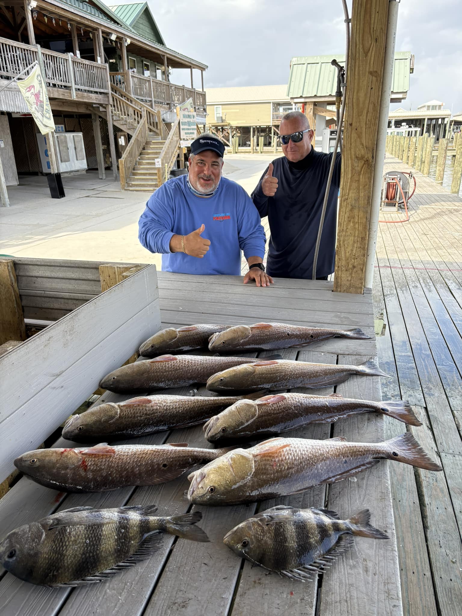 8 redfish and sheepshead fish caught by 2 people while fishing