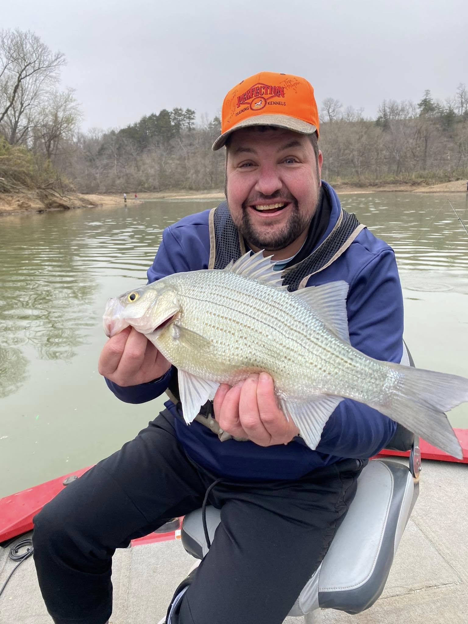 Wiper (Hybrid striped bass) fish caught in AR