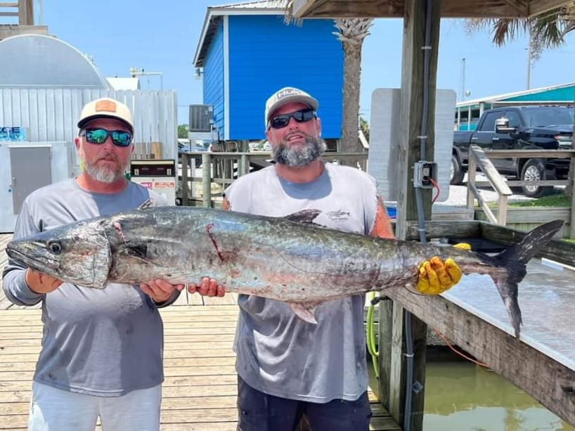 A massive king mackerel caught in Dauphin Island