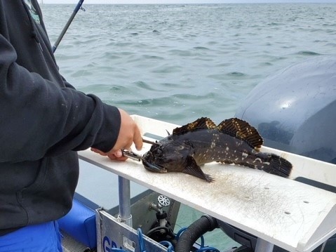 Fishing trip in CA